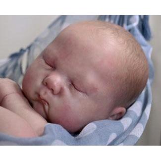 Spencer, by Wendy Dickison (19" Reborn Doll Kit)