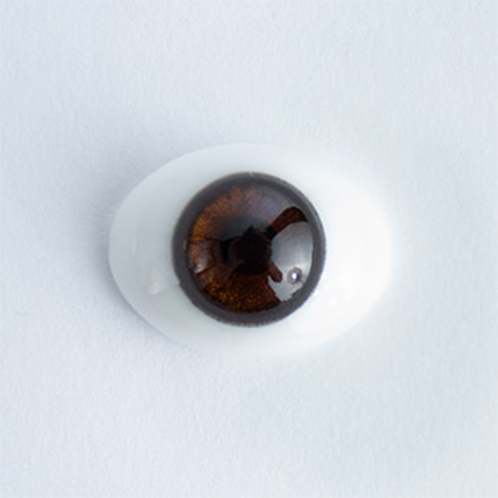 24mm Brown Iris E - Oval Glass Eyes - 1 Pair - #1556