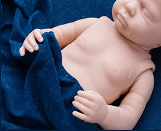 ~Harper Boy (19" Full Body Reborn Doll Kit)