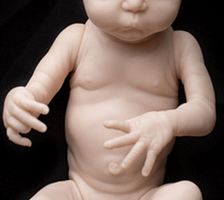 ~Max Boy (14" Reborn Doll Kit)