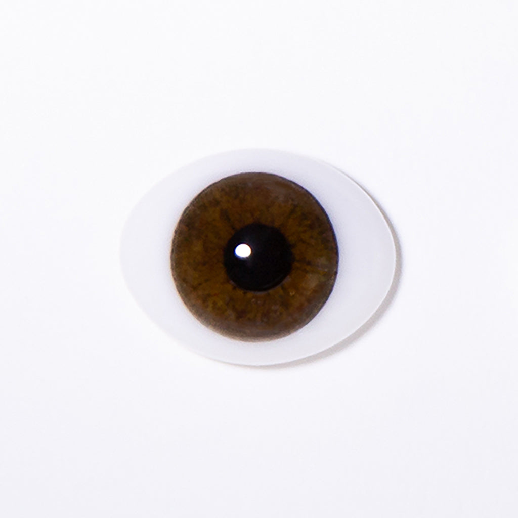 14mm Brown - Oval Glass Eyes - 1 Pair - #1455
