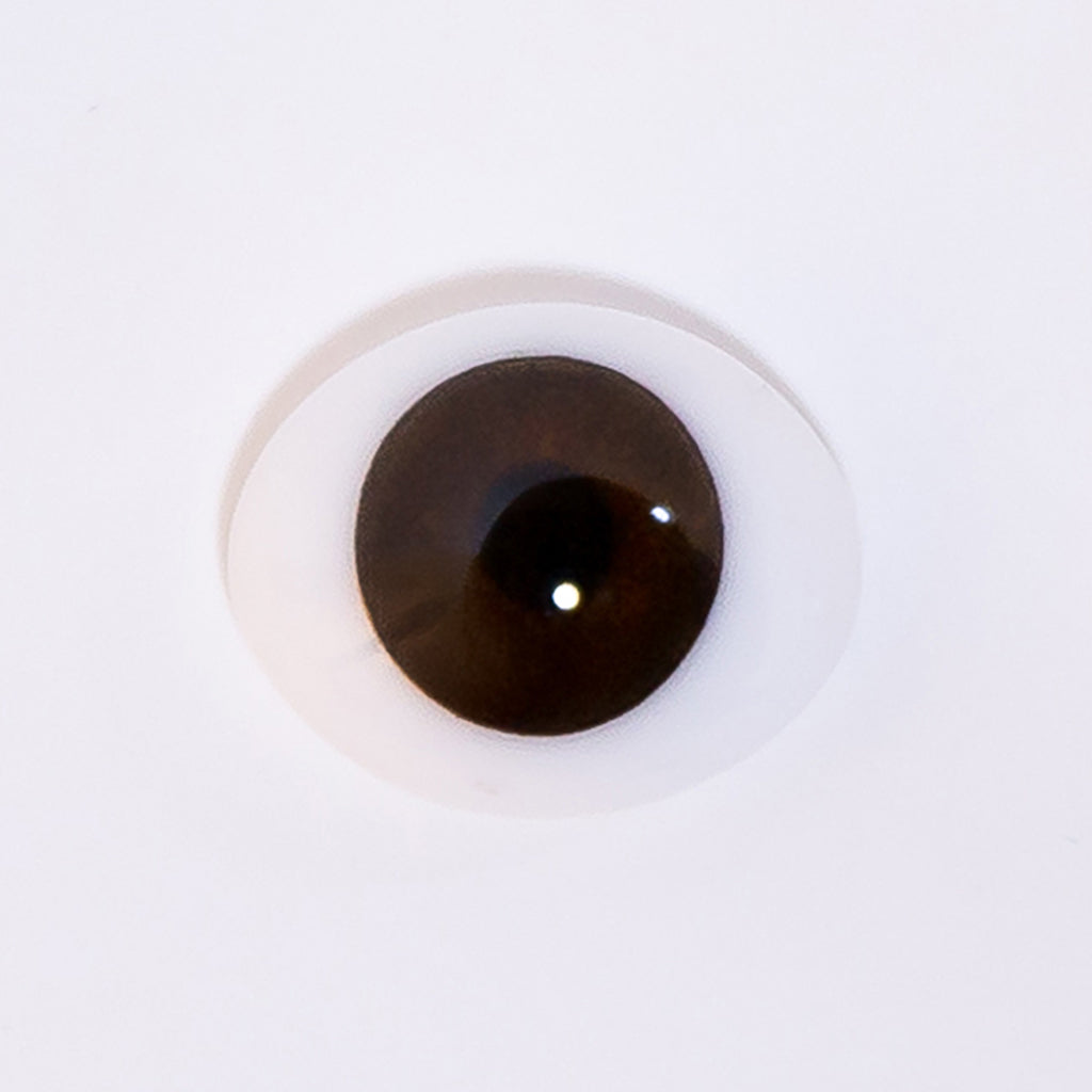 16mm Brown - Oval Glass Eyes - 1 Pair - #1460