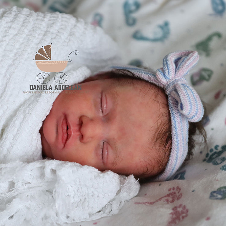 Newest Releases - Bountiful Baby (DP Creations LLC)