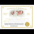 Realborn® SILICONE Silvia Awake (20" Reborn Doll Kit)