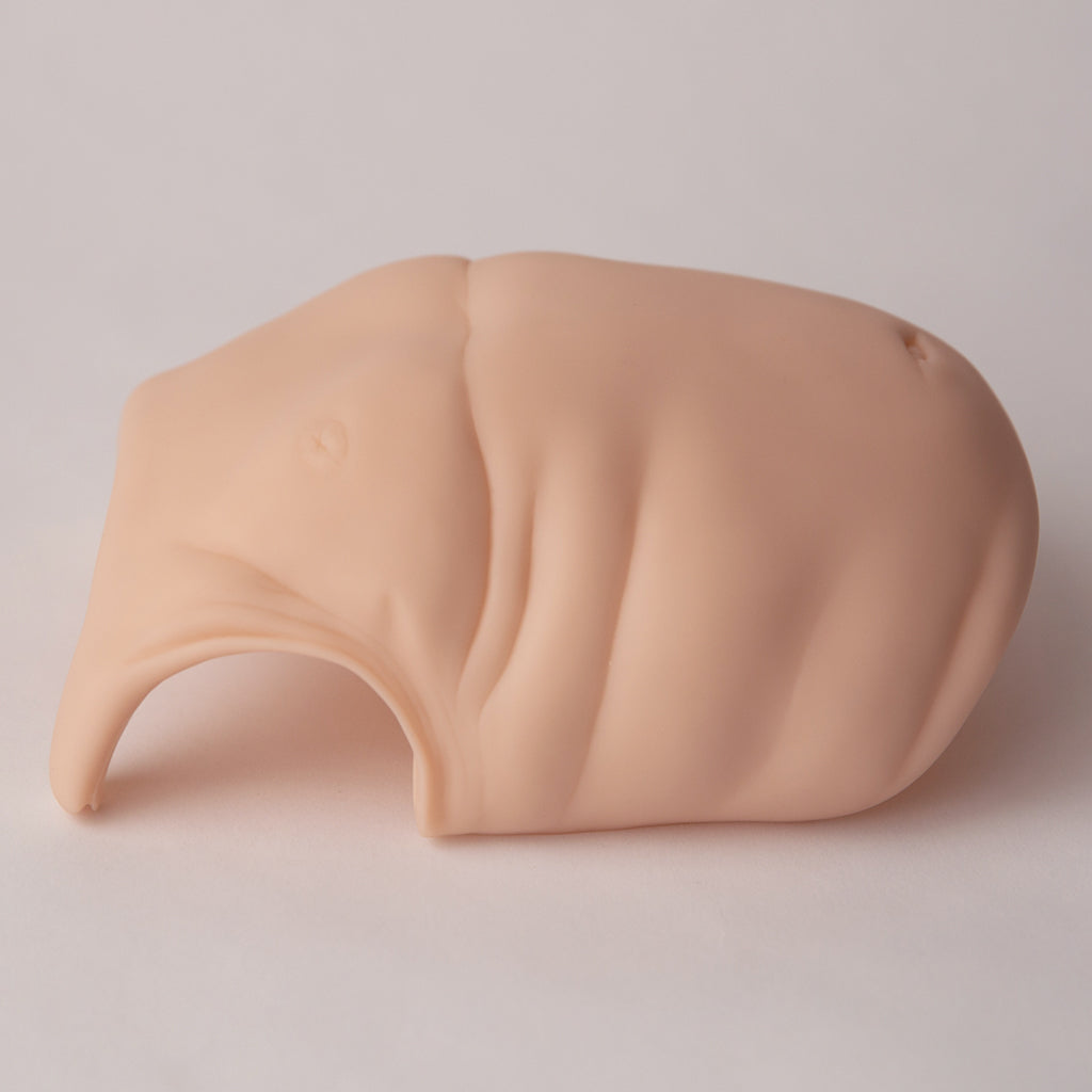 Realborn® 3-6 Month Chubby Belly Plate for 23-26" Dolls- #4463