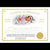 Realborn® SILICONE Maui Sleeping (19" Reborn Doll Kit)