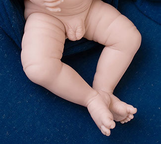 ~Harper Boy (19" Full Body Reborn Doll Kit)